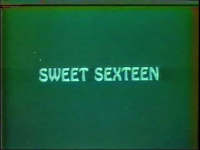 Sweet Sexteen / Милые Сескподрости